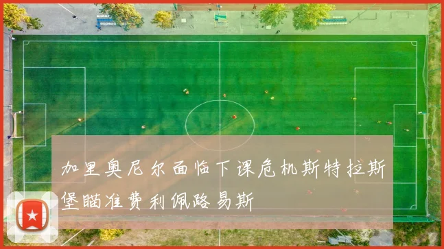 加里奥尼尔面临下课危机斯特拉斯堡瞄准费利佩路易斯